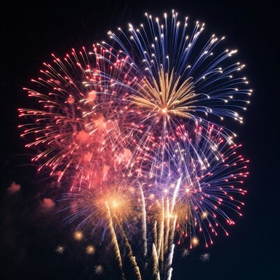 Colorful Fireworks Exploding in Night Sky