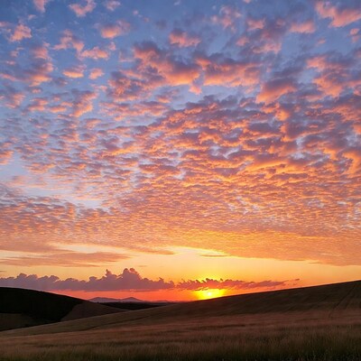 Sunset over rolling golden fields