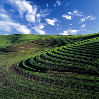 Terraced Green Hills Under Blue Sky