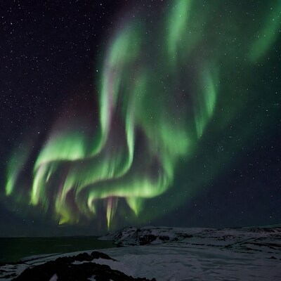 Northern Lights over Snowy Coastal Mountains