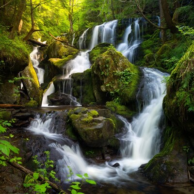 Mossy Waterfall in Lush Forest