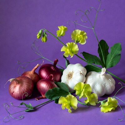 Red onions garlic peas purple background