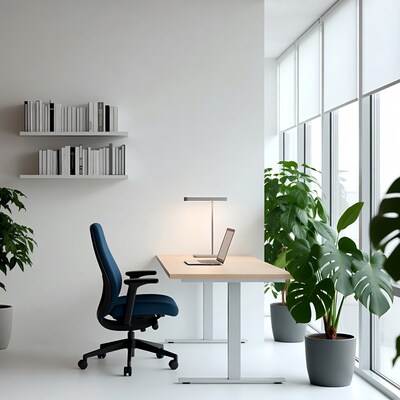 Modern Office Desk with Laptop and Plants