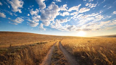 Dirt path through golden wheat field sunset