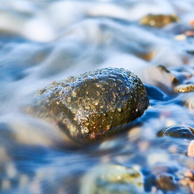 Wet rock in flowing stream