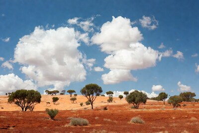 Red Desert Landscape with Trees and Clouds