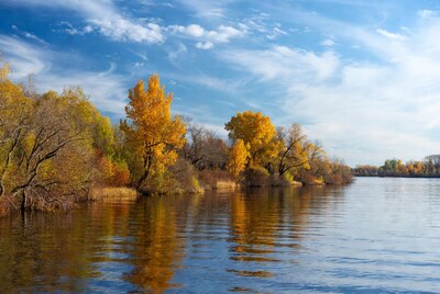 Autumn trees reflecting in lake