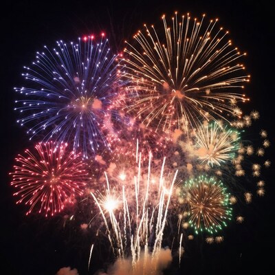 Colorful Fireworks Exploding at Night