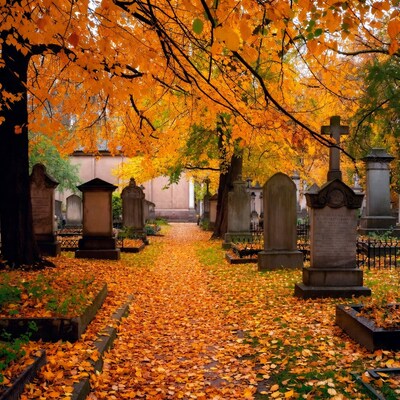 Autumn Path in Historic Cemetery
