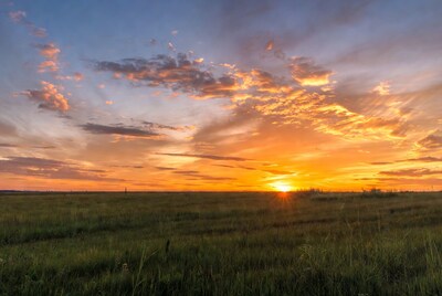 Sunset over grassy field