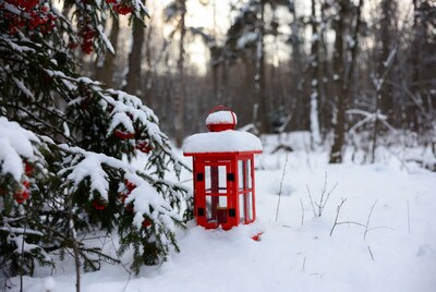 Red Lantern in Snowy Forest