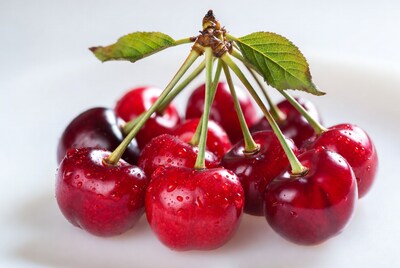 Fresh red cherries with water droplets