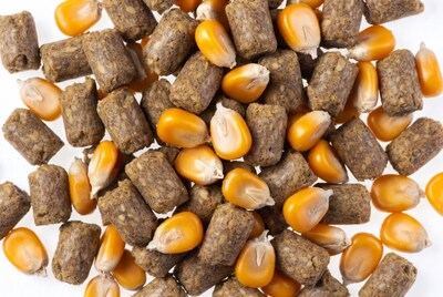 Corn Kernels and Pellets Pile