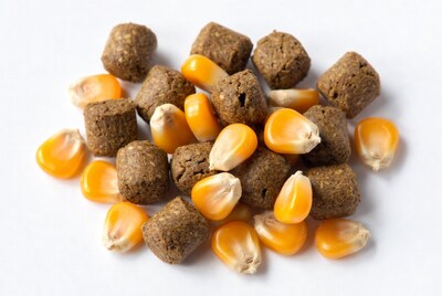 Dog food kibble with corn kernels