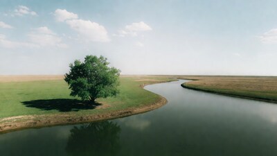 Lone Tree by Winding River