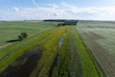 Aerial view of marshy stream in farmland