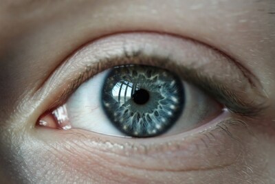 Close-up blue human eye