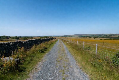 Gravel path through yellow fields