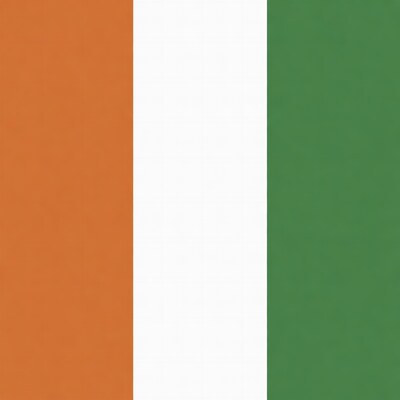 Ivory Coast Flag Vertical Stripes