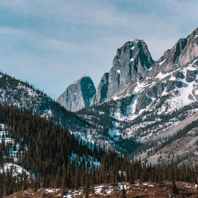 Snowy Mountains with Pine Trees