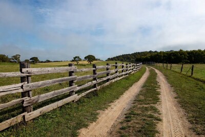 Wooden fence along rural dirt path
