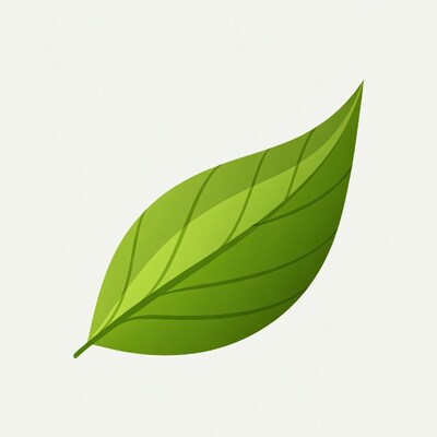 Green Leaf Illustration