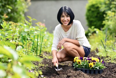 Woman planting pansies in garden