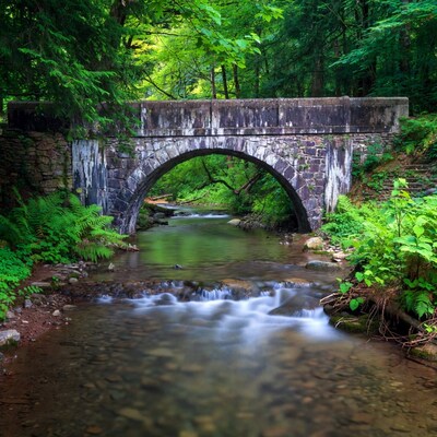 Stone Arch Bridge over Forest Stream
