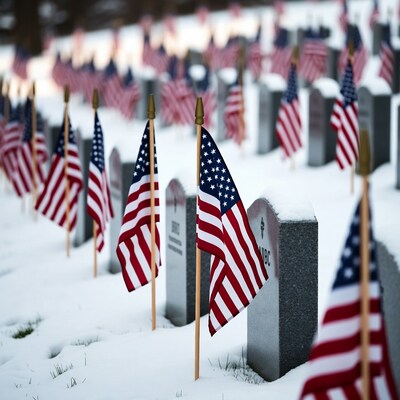 American Flags on Snowy Graves