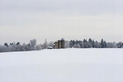 Snowy Grain Silos and Trees