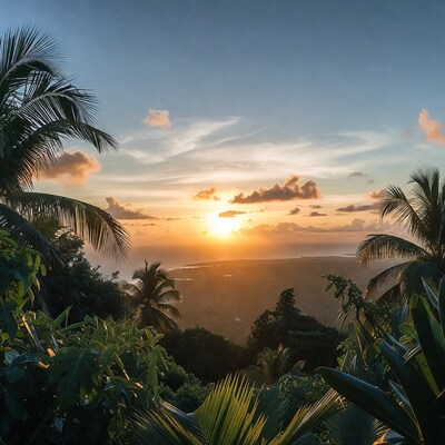 Sunset over tropical island palms