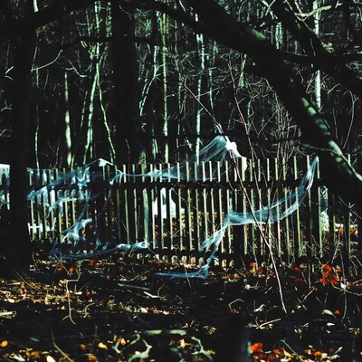 Spooky Spiderweb-Covered Fence in Dark Forest