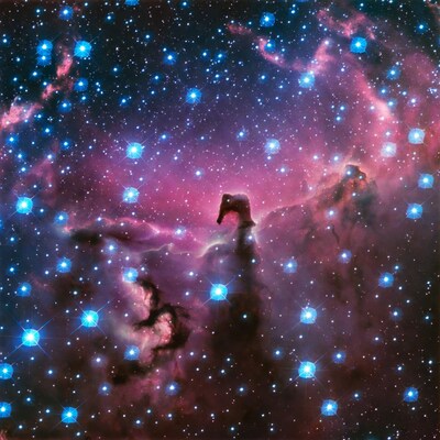 Horsehead Nebula in Orion