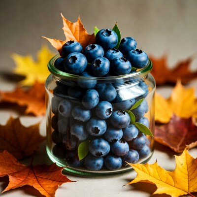 Blueberries in Jar with Autumn Leaves