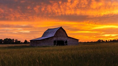 Red Barn in Field at Sunset