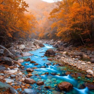 Autumn Forest River with Colorful Foliage