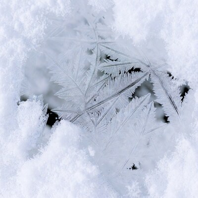 Snowflake in Snow Macro Closeup