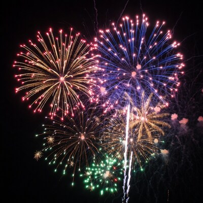 Colorful Fireworks Exploding in Night Sky