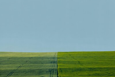 Green field split by blue sky