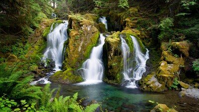 Mossy Triple Waterfall in Lush Forest
