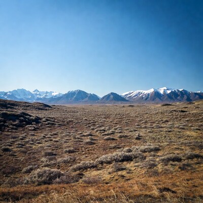 Snowy Mountains Over Brown Tundra Plains