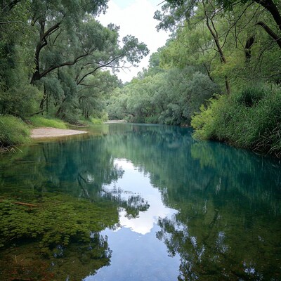 Turquoise River in Lush Forest