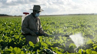 Farmer spraying crops in field