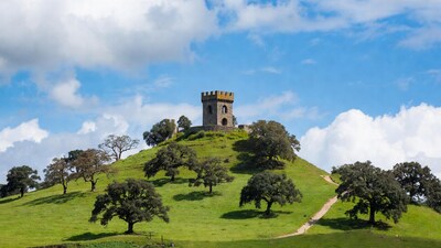 Stone Tower on Grassy Hill with Oaks