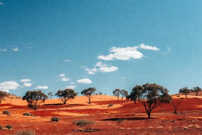 Red Sand Dunes with Eucalyptus Trees
