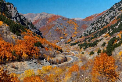 Winding Road Through Fall Aspen Mountains