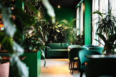 Green Plant-Filled Cafe Interior