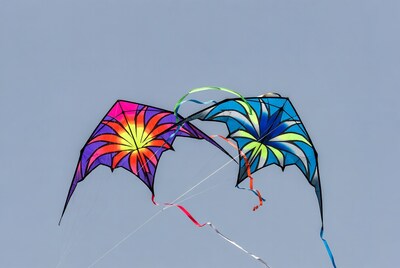 Colorful Flower Kites Flying in Sky