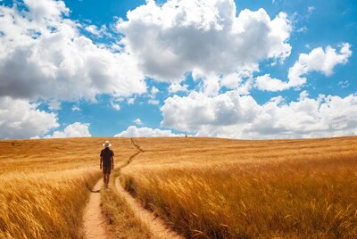 Man walking wheat field path