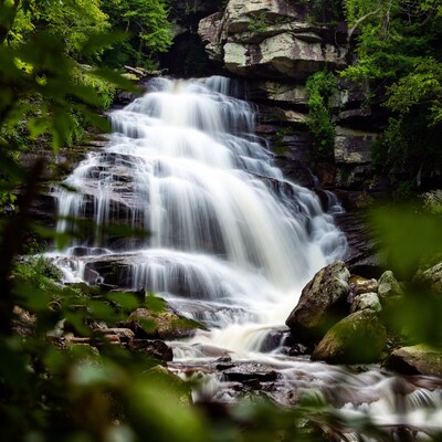 Waterfall cascading over rocks in forest